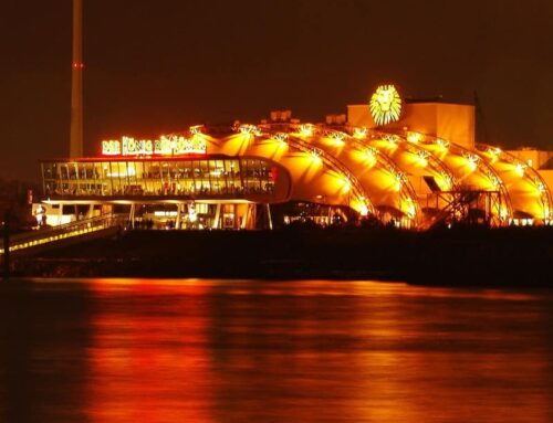 König der Löwen in Hamburg